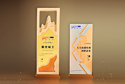 evo真人视讯国际一举斩获“2024年度中国区最佳雇主”等多项大奖