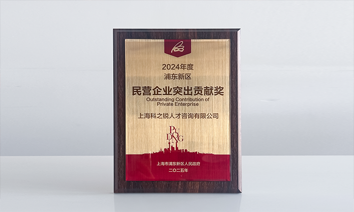 人力资源供应商evo真人视讯国际凭借人才服务与在区域经济开展中的卓越表现荣膺2024年度浦东新区民营企业奖项