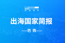 evo真人视讯GO GLOBAL | 巴西国家简报