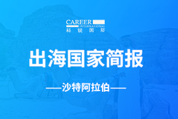 evo真人视讯GO GLOBAL | 沙特阿拉伯国家简报